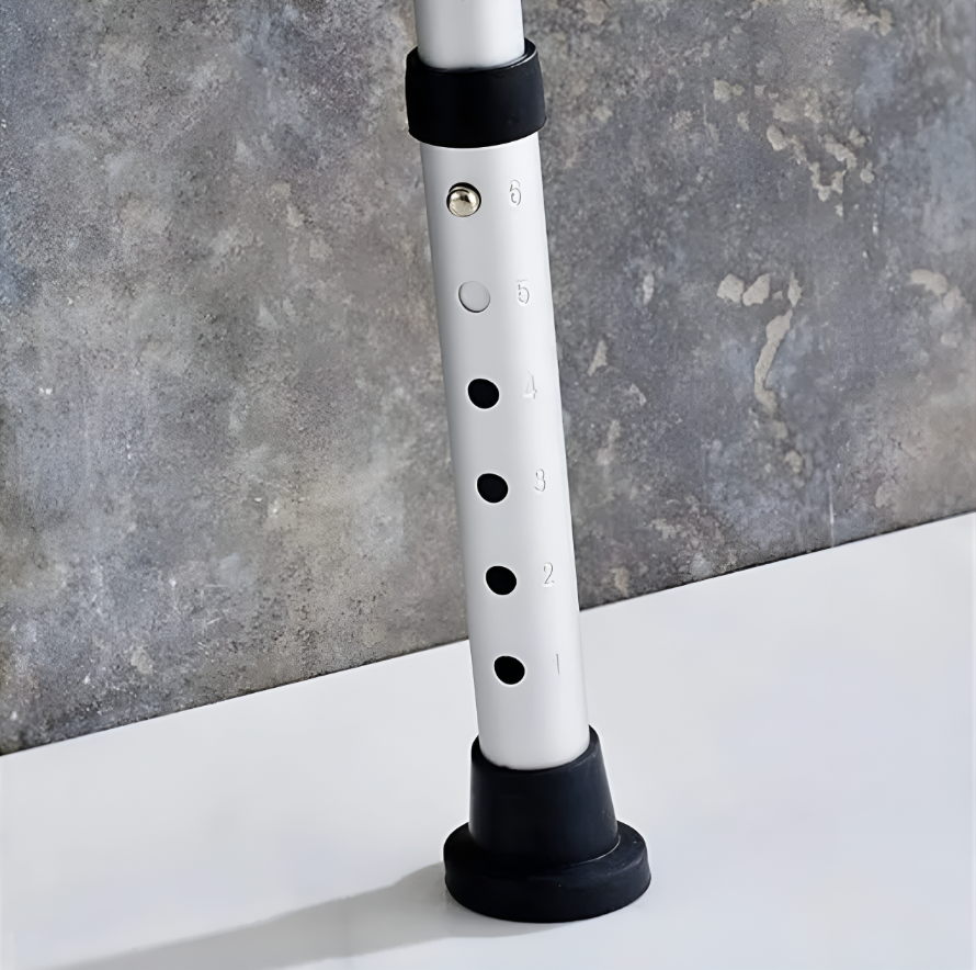Silla Sanitaria con Apoyabrazos