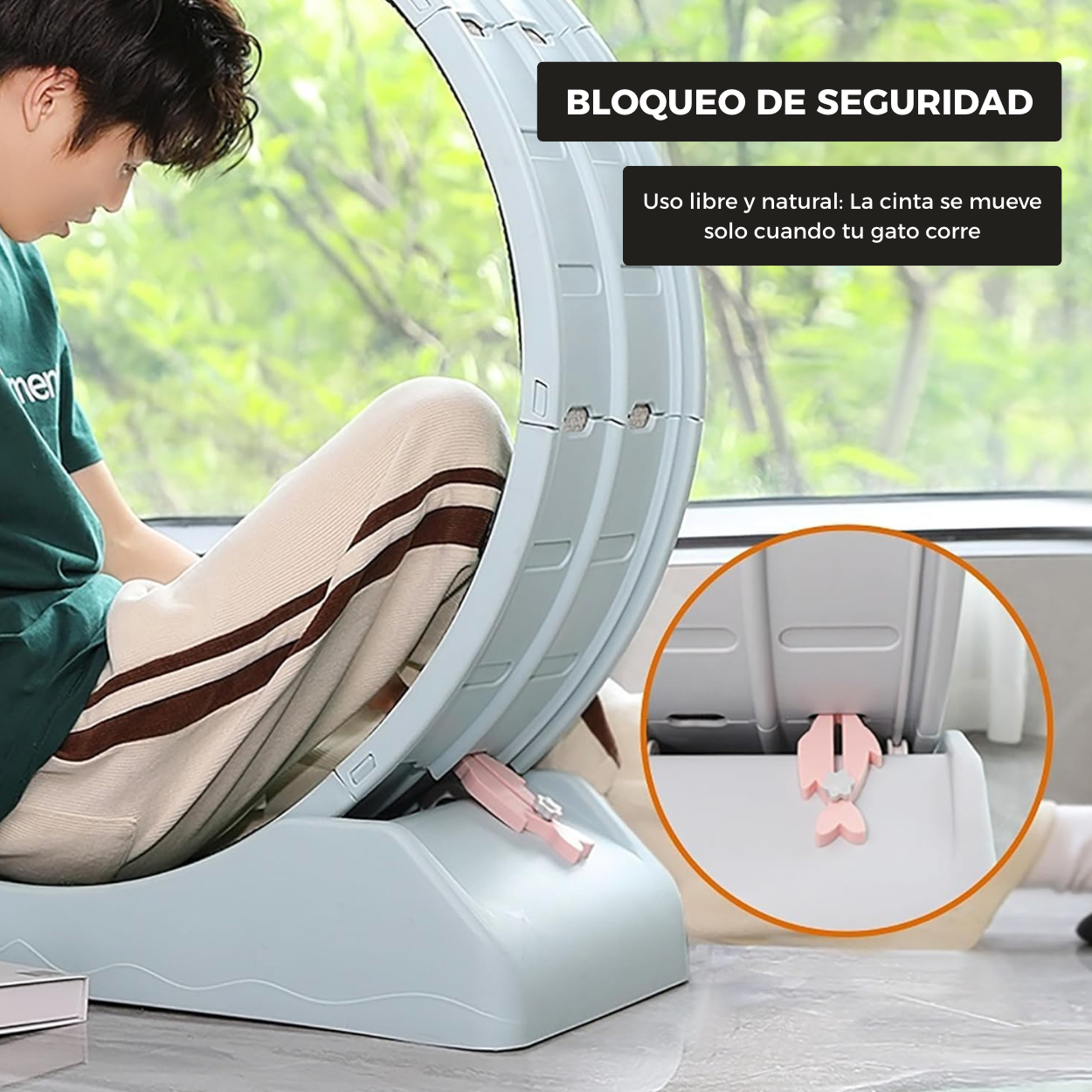 Rueda de Ejercicio para Mascotas