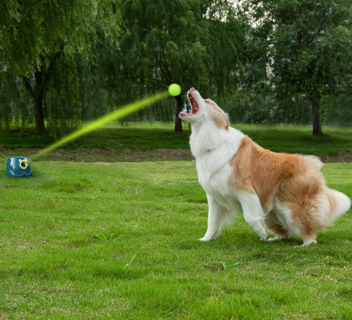 Lanzador Automático de Pelotas