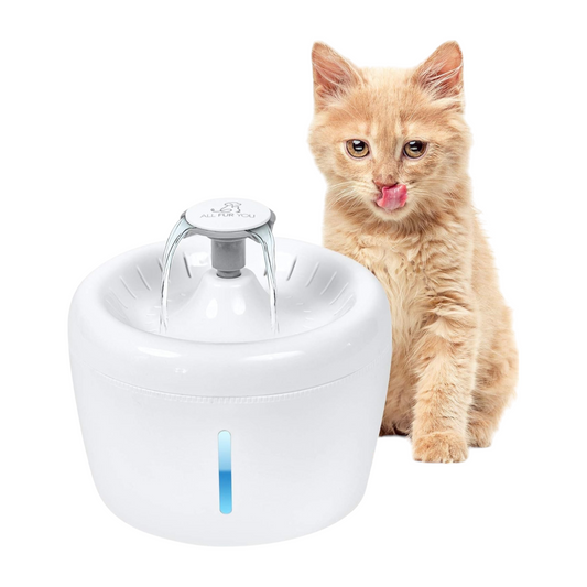 Fuente de Agua/Bebedero para Mascotas