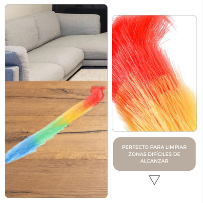 Plumero Multicolor