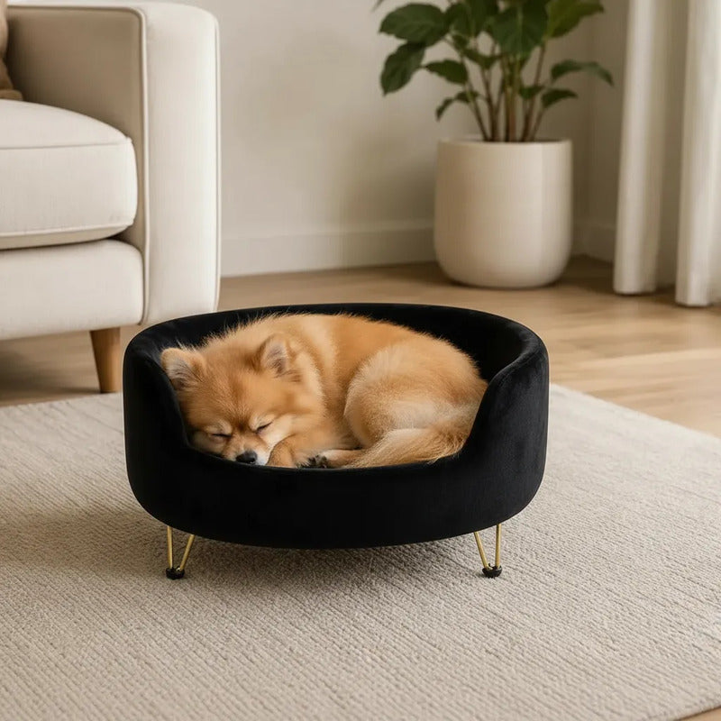 Cama Premium Mascotas Perro Gato Sofá Con Patas Acolchado Negro