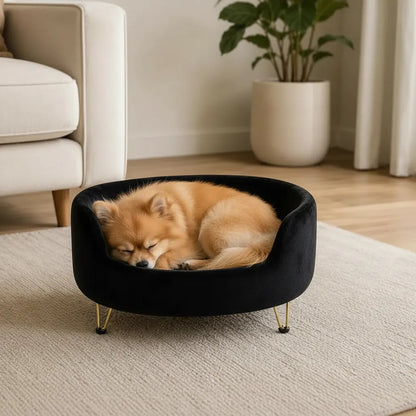 Cama Premium Mascotas Perro Gato Sofá Con Patas Acolchado Negro