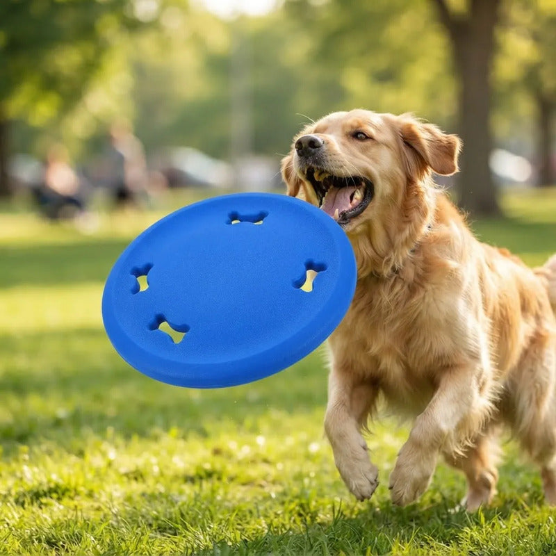 Juguete Para Perro Frisbee Disco Mascota Resistente Calidad Azul