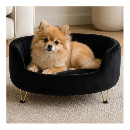 Cama Premium Mascotas Perro Gato Sofá Con Patas Acolchado Negro