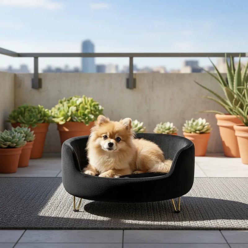 Cama Premium Mascotas Perro Gato Sofá Con Patas Acolchado Negro
