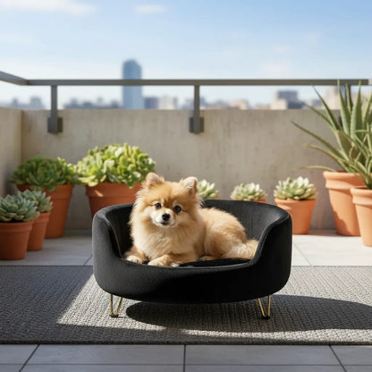 Cama Premium Mascotas Perro Gato Sofá Con Patas Acolchado Negro