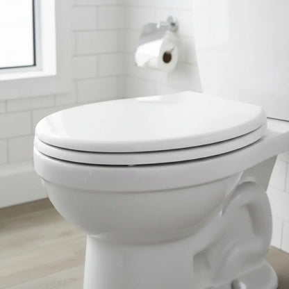 Tapa Dgm Tm50 Para Inodoro Fibra De Madera Herrajes De Metal Water Color Blanco Blanco