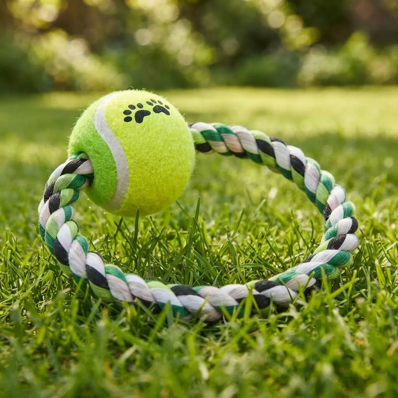 Pelota Interactiva Para Perro Y Gato Aro Verde